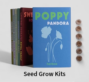 Seed Grow Kits