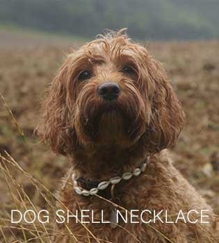 Dog Shell Necklace