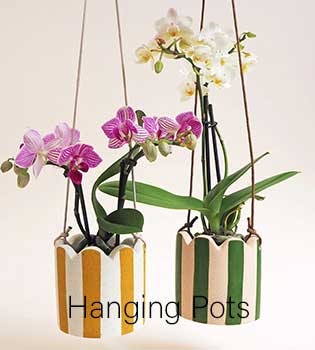 Marilu Hanging Pots