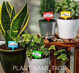 Plant Name Tags
