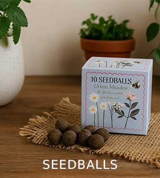 Seedballs