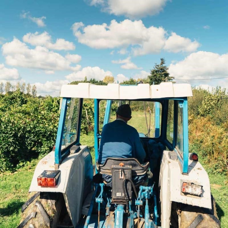 Vineyard Tour, Tasting and Lunch for 2 | Choose from 2 UK locations