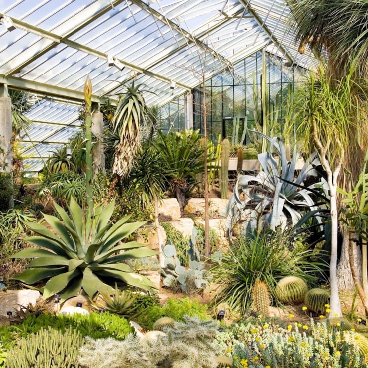 Visit to Kew Gardens with Cream Tea for 2 Visit to Kew Gardens with Cream Tea for 2