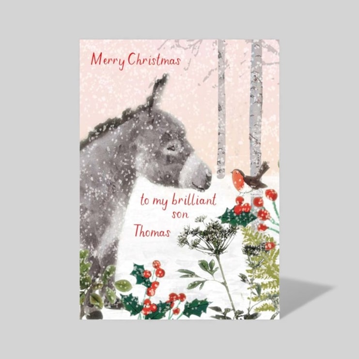 Personalised Christmas Card - Donkey & Robin