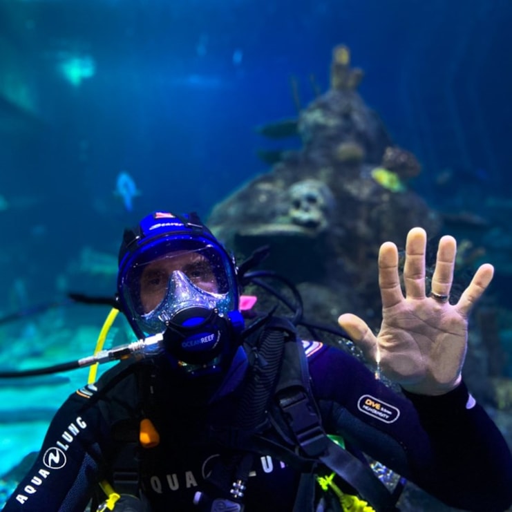 Dive with Sharks at Skegness Aquarium | Experience Day For 1