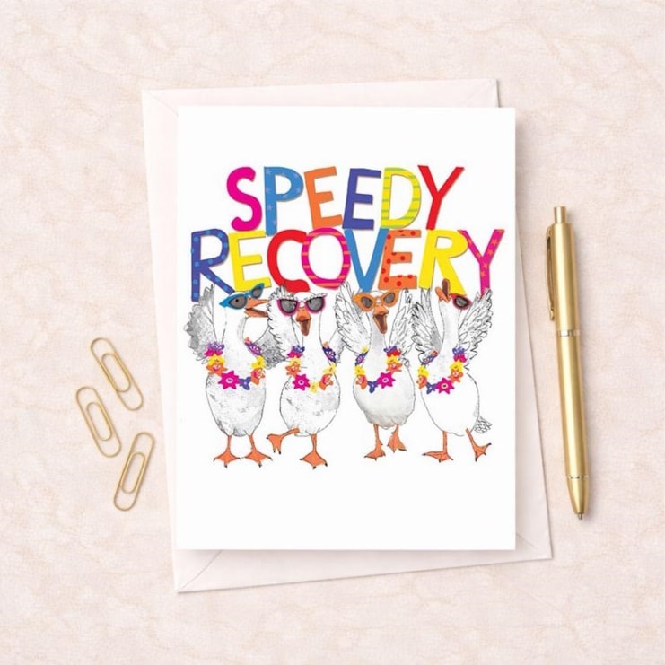Large Get Well Soon Card - Fancy Geese