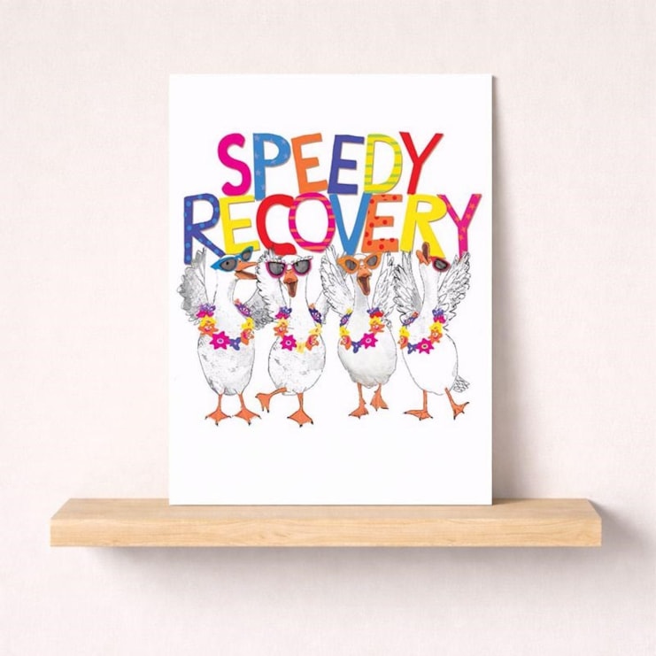 Large Get Well Soon Card - Fancy Geese Large Get Well Soon Card - Fancy Geese