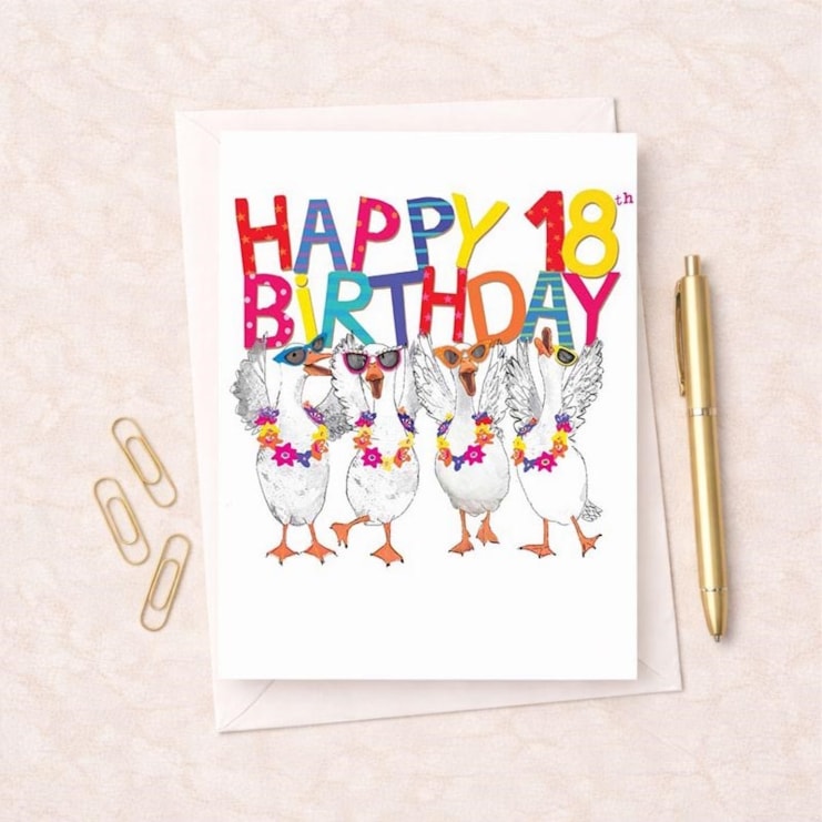 Large Birthday Card - Age 18 Fancy Geese
