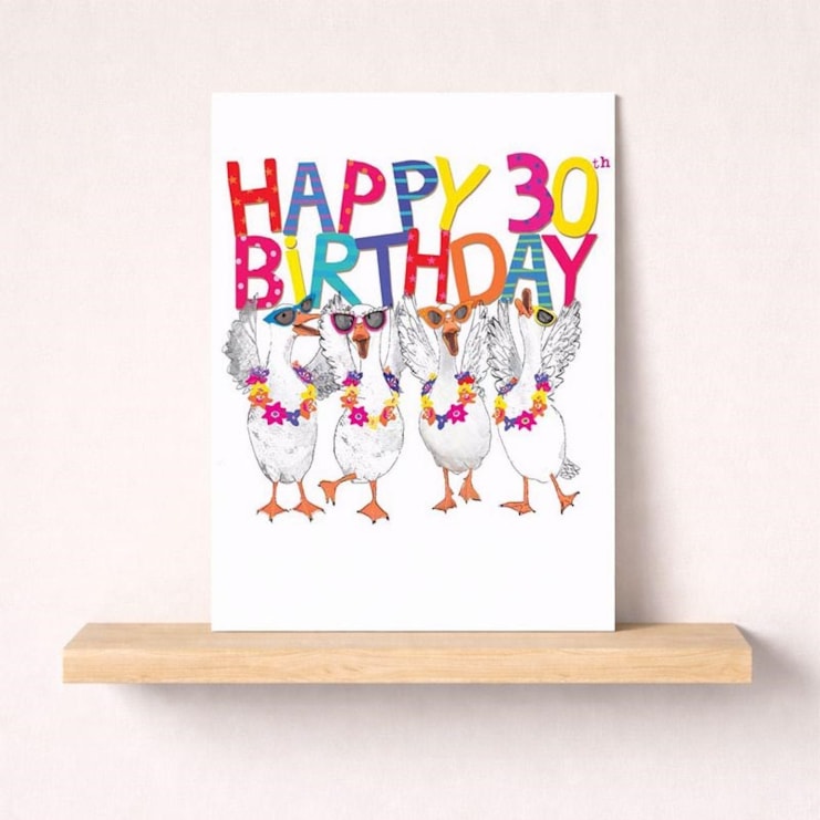 Large Birthday Card - Age 30 Fancy Geese