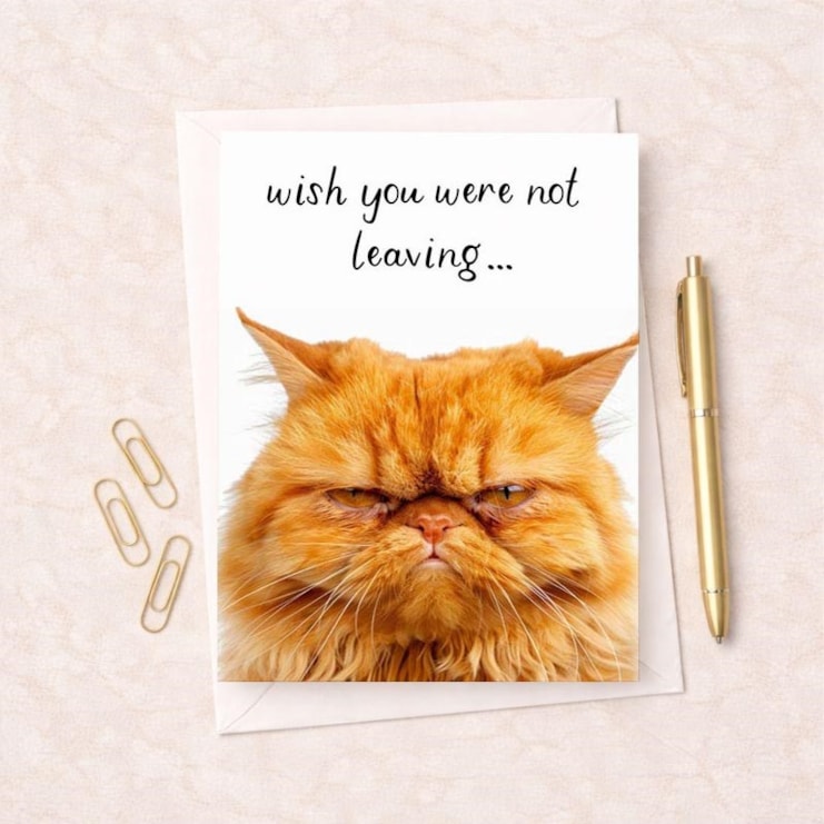Large Sorry You're Leaving Card - Grumpy Cat
