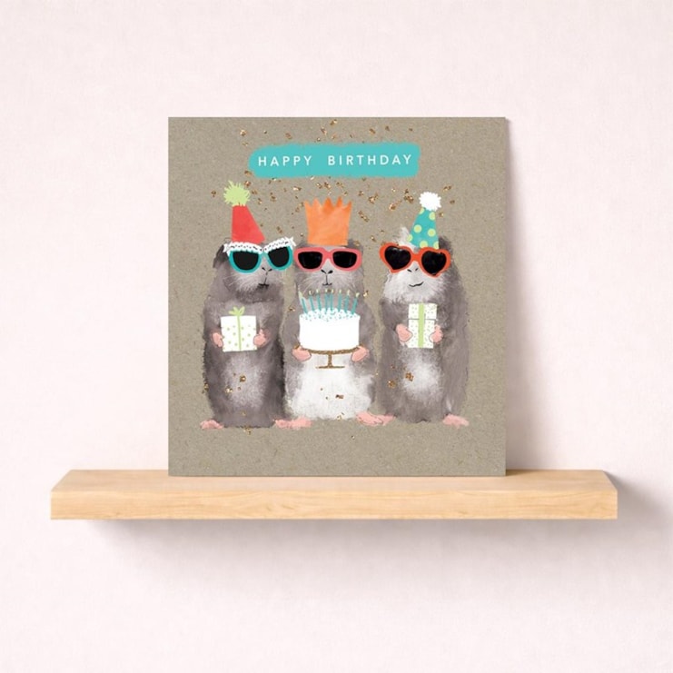 Birthday Card - Hamsters Birthday Card - Hamsters