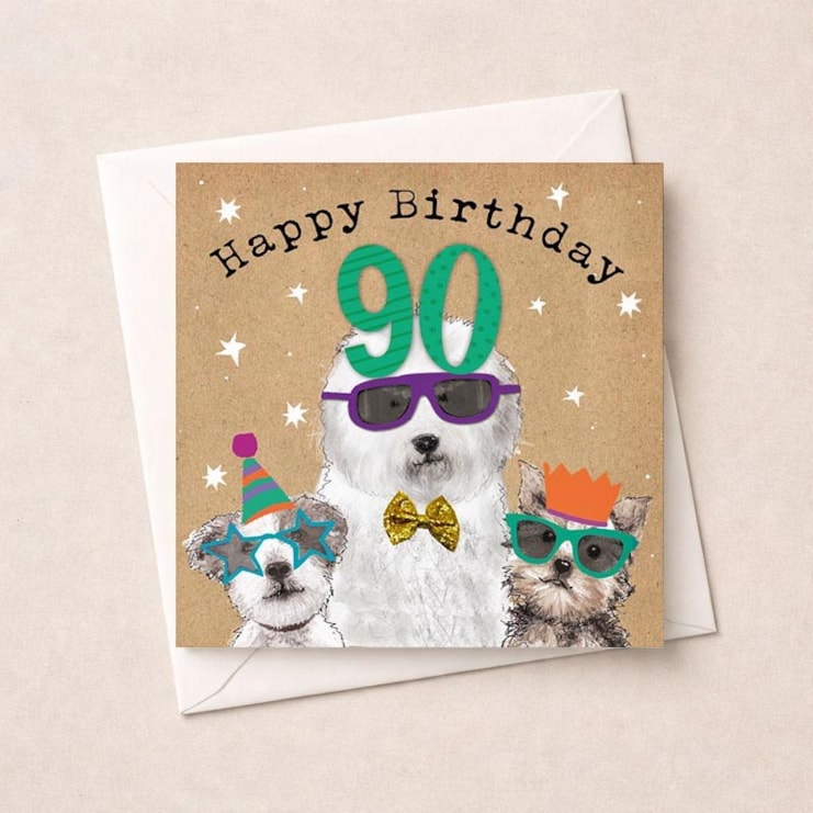 Age 90 Birthday Card - Fun Dogs