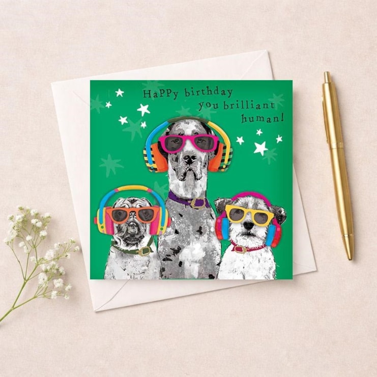 Birthday Card - Happy Birthday Brilliant Human