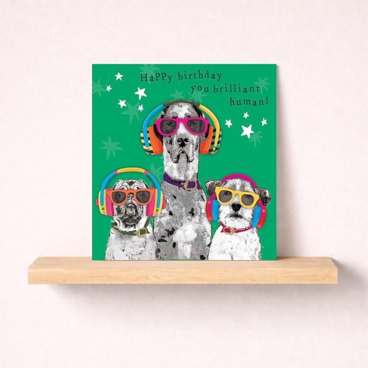 Birthday Card - Happy Birthday Brilliant Human