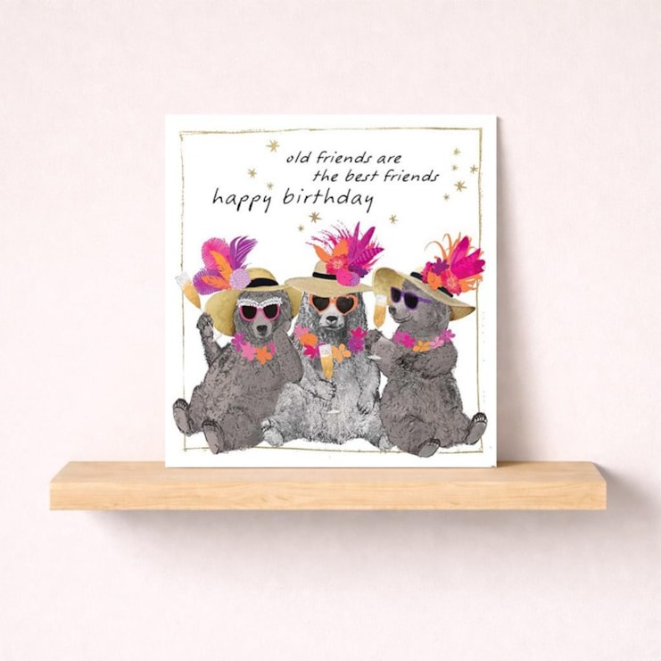 Birthday Card - Old Friends