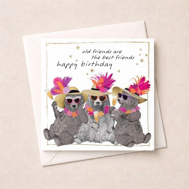 Birthday Card - Old Friends Birthday Card - Old Friends