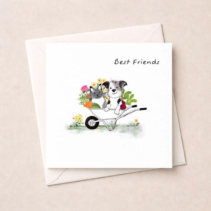 Friendship Card - Cat And Dog In A Wheelbarrow Friendship Card - Cat And Dog In A Wheelbarrow