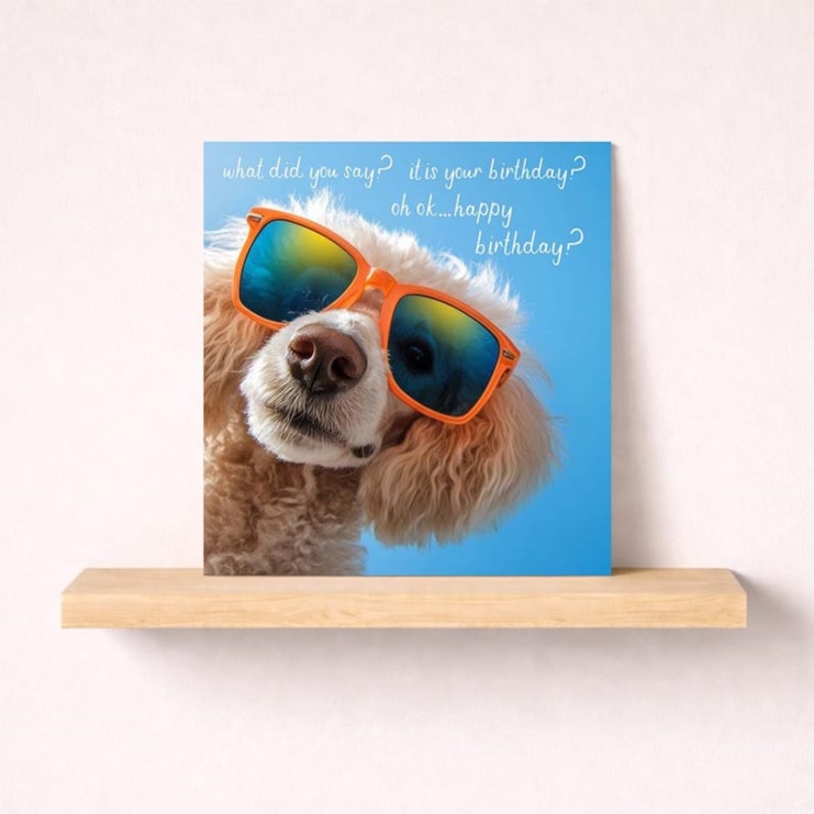 Birthday Card - What Did You Say? Birthday Card - What Did You Say?