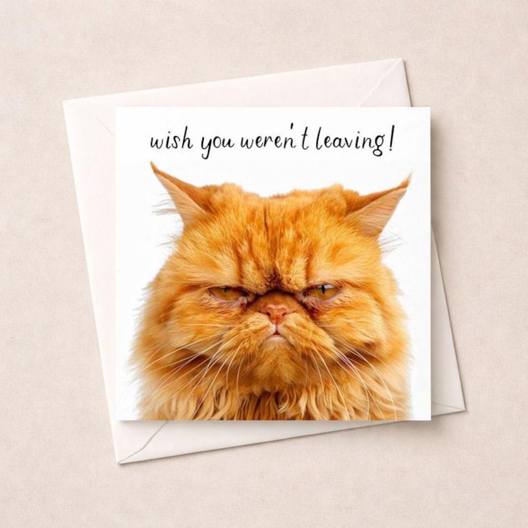 Sorry You're Leaving Card - Grumpy Cat