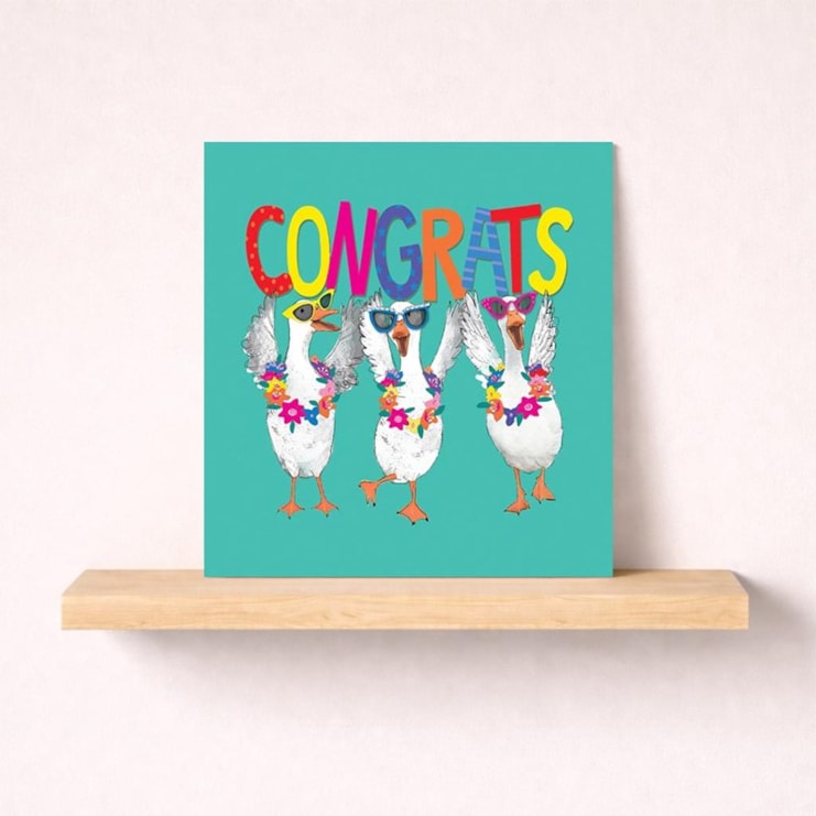 Congratulations Card - Congrats Geese Congratulations Card - Congrats Geese
