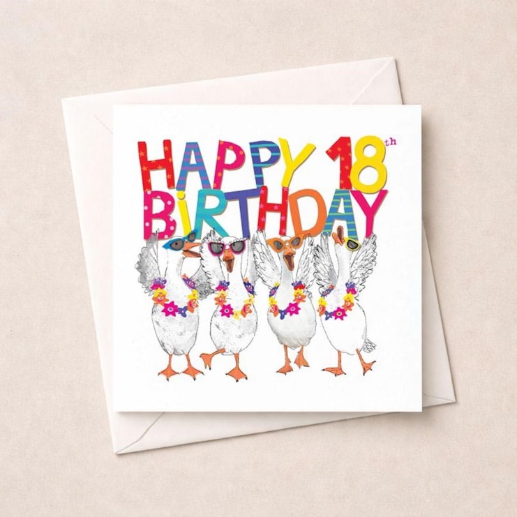Age 18 Birthday Card - 18th Geese