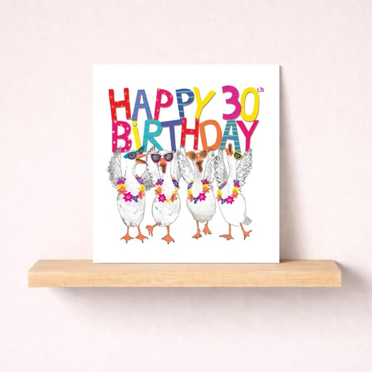 Age 30 Birthday Card - 30th Geese