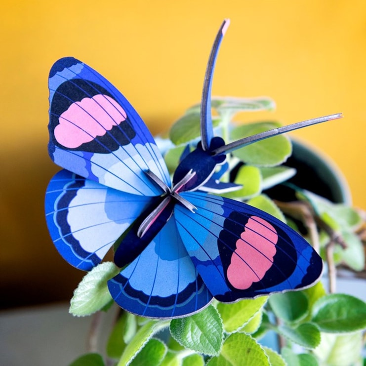 Build Your Own Peacock Butterfly Wall Decoration Build Your Own Peacock Butterfly Wall Decoration