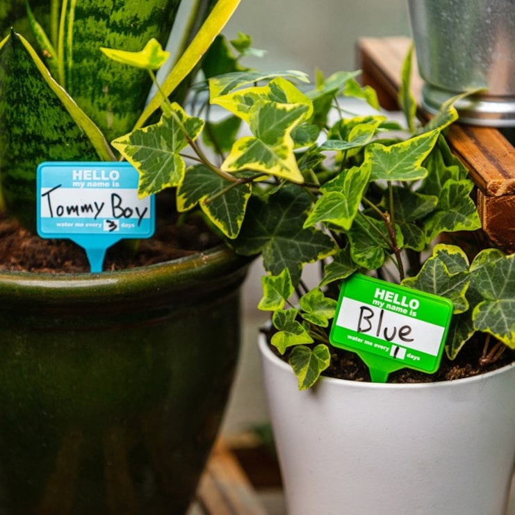 House Plant Name Tags House Plant Name Tags