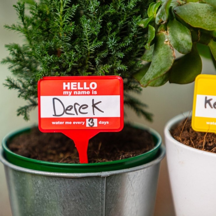 House Plant Name Tags