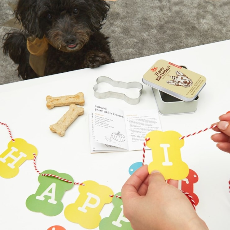 Dog Birthday Kit Dog Birthday Kit