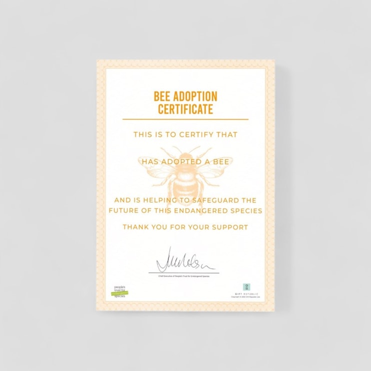 Adopt a Bee Adopt a Bee
