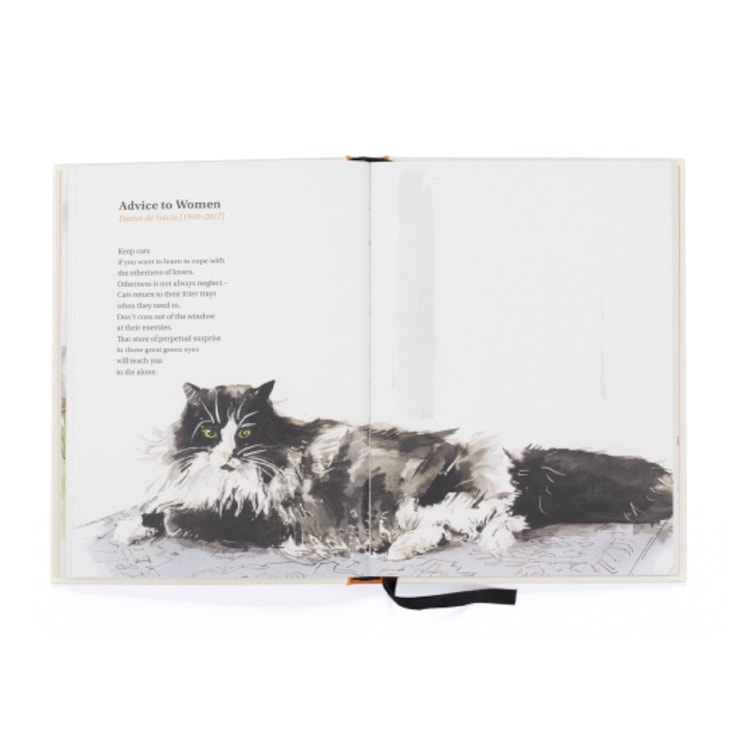 Cat Poems Book Cat Poems Book