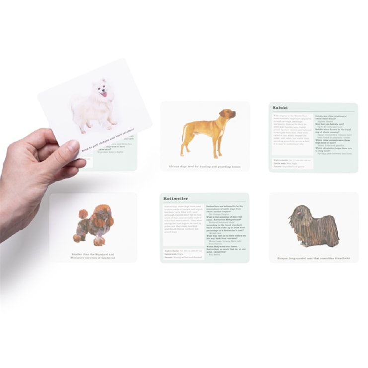 Do You Know Your Dogs? Do You Know Your Dogs?