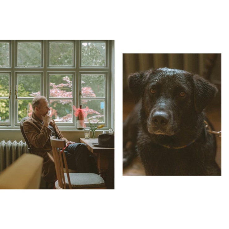 Dog - Stories of Dog Ownership Dog - Stories of Dog Ownership