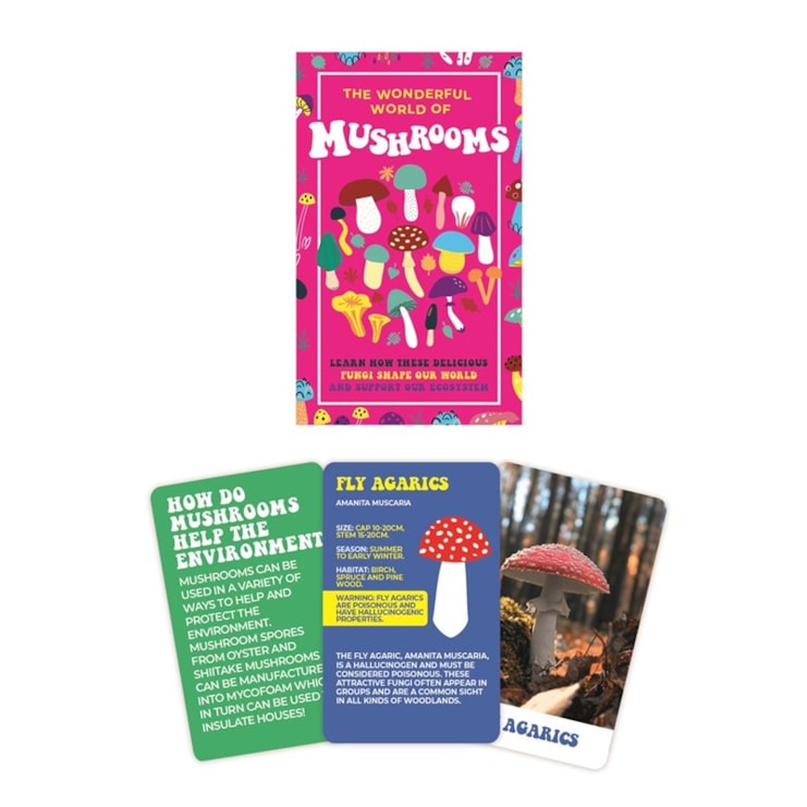 The Wonderful World Of Mushrooms The Wonderful World Of Mushrooms