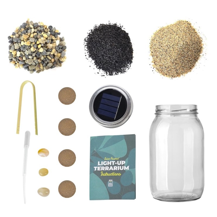 Light-Up Terrarium Light-Up Terrarium