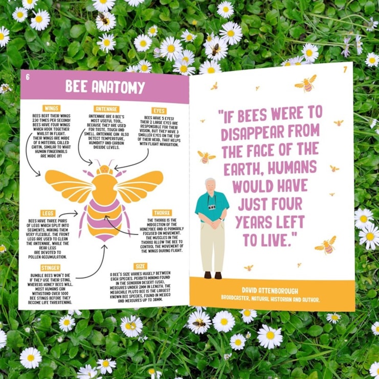 Save The Bees Grow Book Save The Bees Grow Book