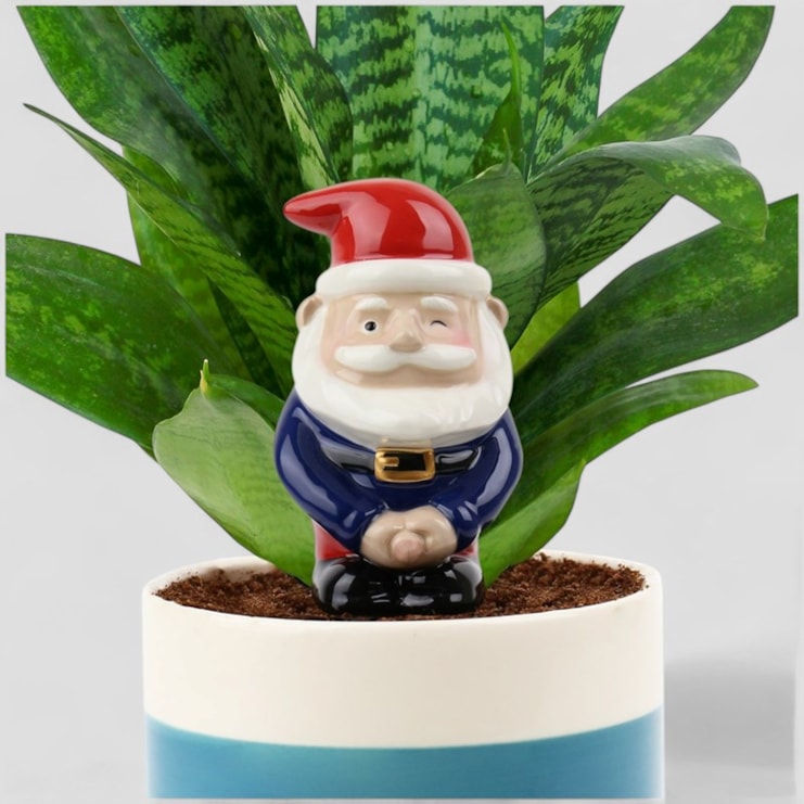 Self Watering Peeing Gnome Planter Self Watering Peeing Gnome Planter