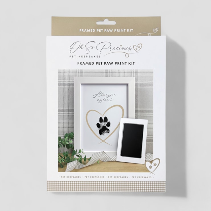 Framed Pet Paw Print Keepsake With Ink Kit