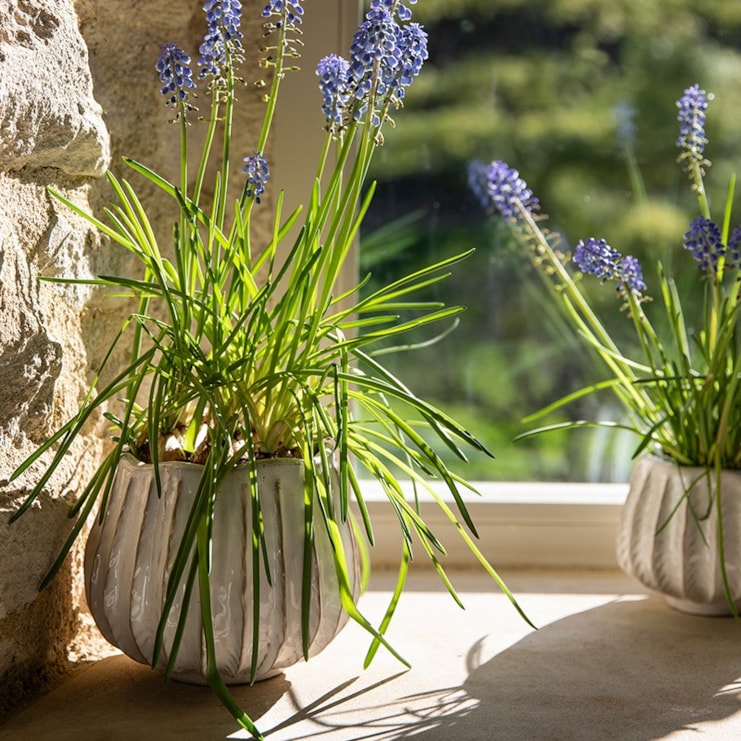 Osmington Plant Pot Osmington Plant Pot