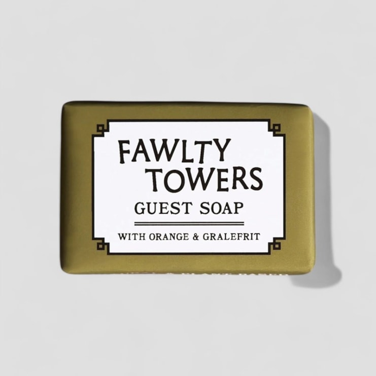 Famous Hotel Soaps