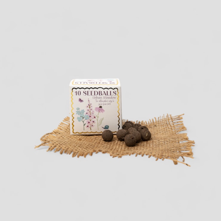 Urban Meadow Seedball Gift Urban Meadow Seedball Gift