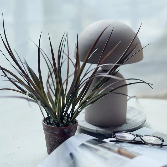 Abigail Ahern Ombre Grass In Pot Abigail Ahern Ombre Grass In Pot