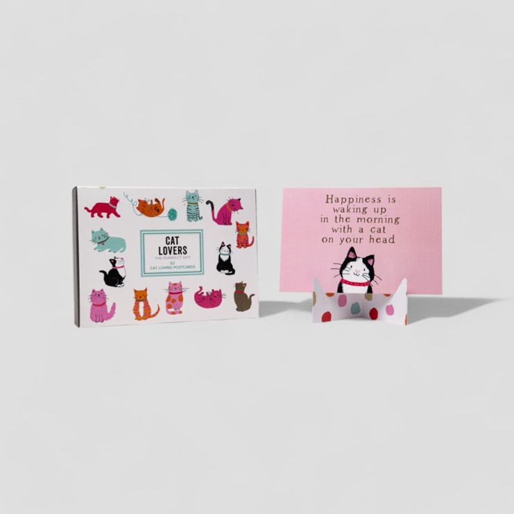 Positive Box Of Cat Lovers Postcards Positive Box Of Cat Lovers Postcards
