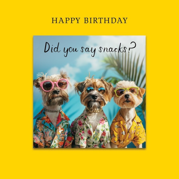 Magnet Card - Did You Say Snacks? Magnet Card - Did You Say Snacks?