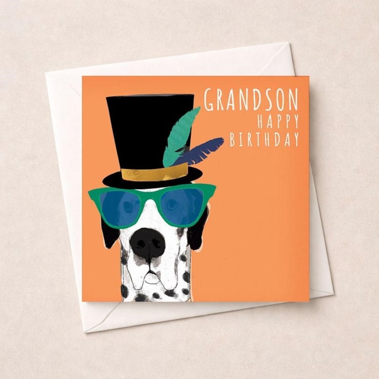 Grandson Birthday Card - Top Dog