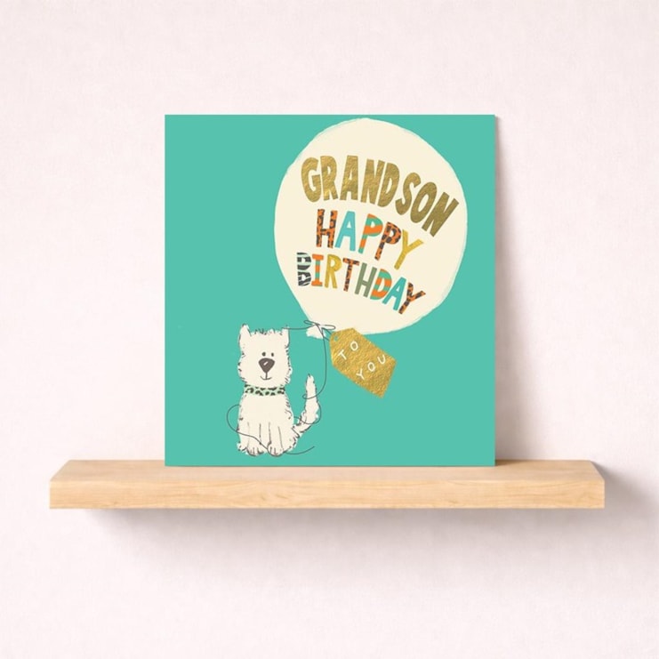 Grandson Birthday Card - Sweet Dog