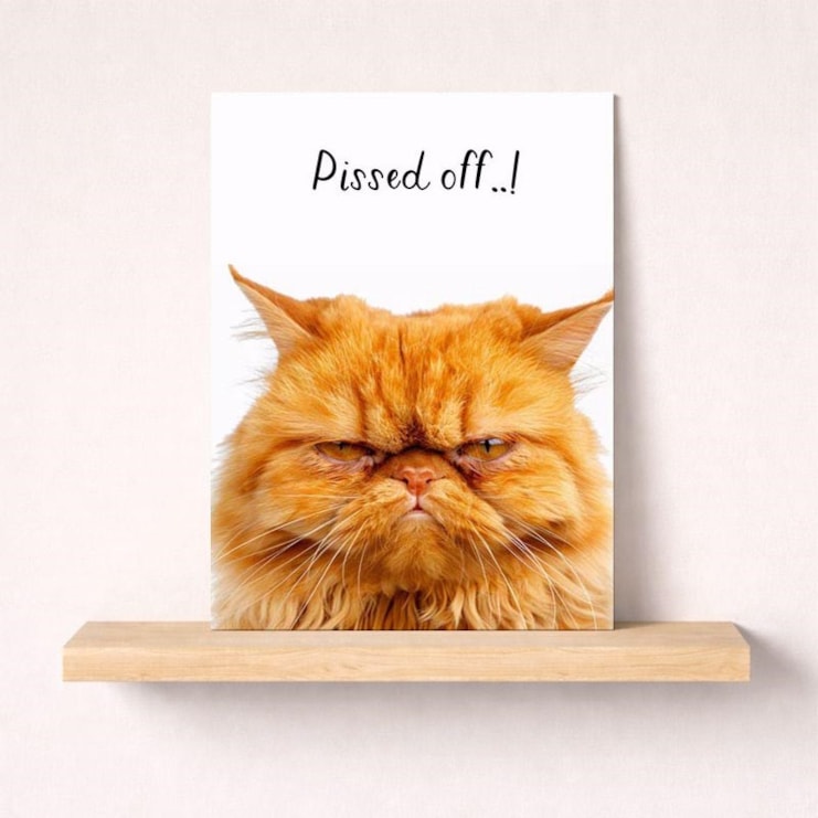 Just To Say Card - Pissed Off..!