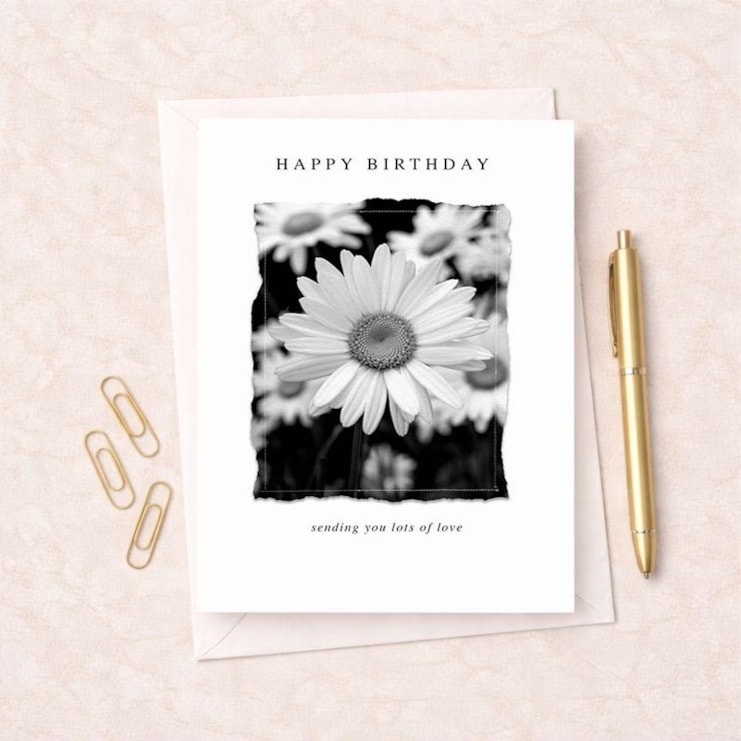 Birthday Card - Daisies