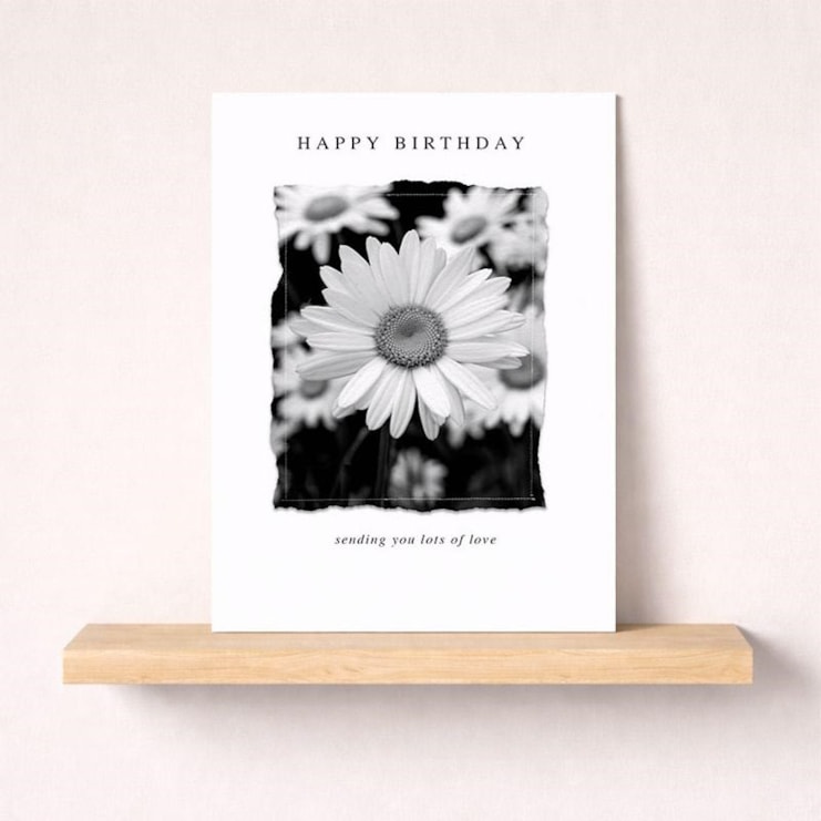 Birthday Card - Daisies Birthday Card - Daisies